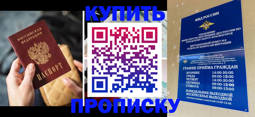 прописка законно в Заинске